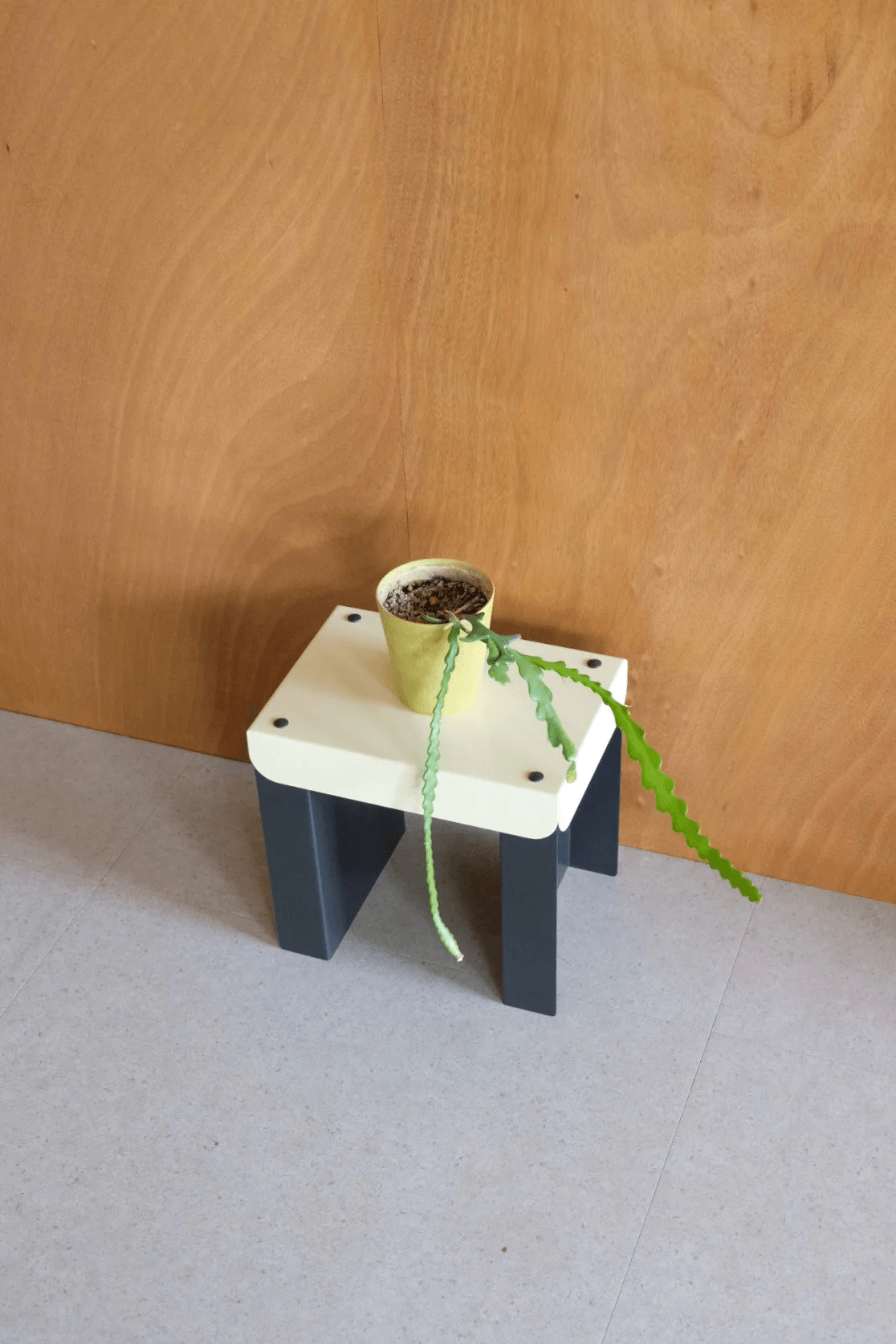 Pico bench / Yellow & Black